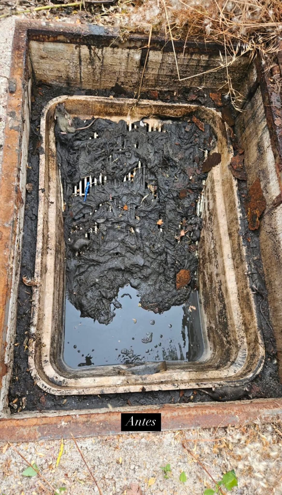Arqueta amb reixa filtrant — Abans